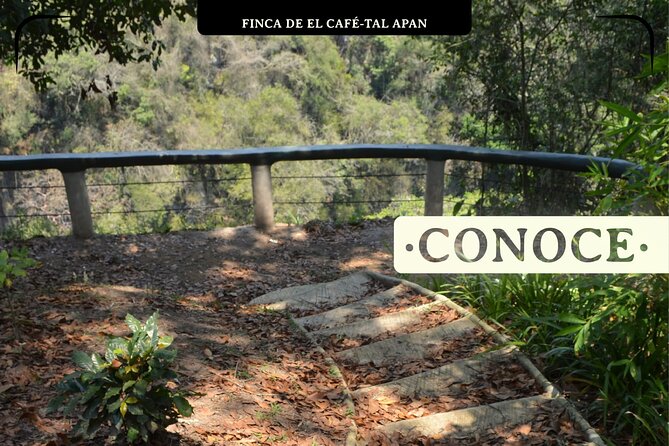 Coffee Museum and Coffee Tour el Cafe-tal apan - Insights into the Tour Guides and Visitor Experience