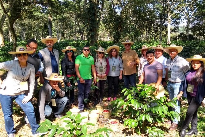 Coffee Museum and Coffee Tour el Cafe-tal apan - Combining the Tour with Other Experiences
