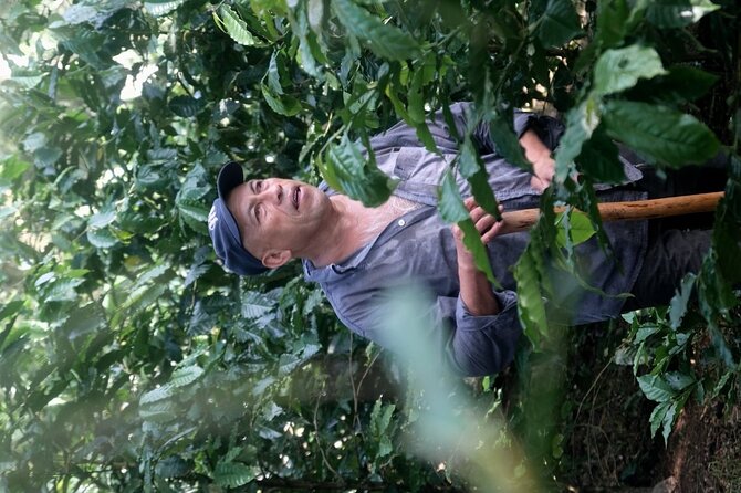 Coffee Museum and Coffee Tour el Cafe-tal apan - Final Thoughts on the Coffee Museum and Plantation Tour