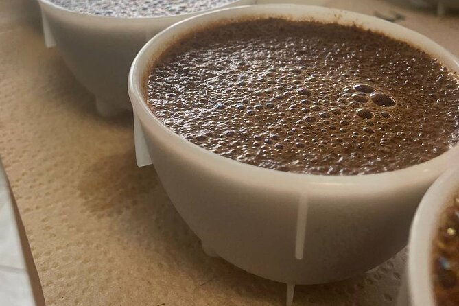 Coffee Sensory Training in Ljubljana - Key Points