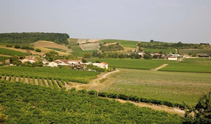 Cognac Private Guided Walking Tour - Discovering the Royal Castle of Cognac