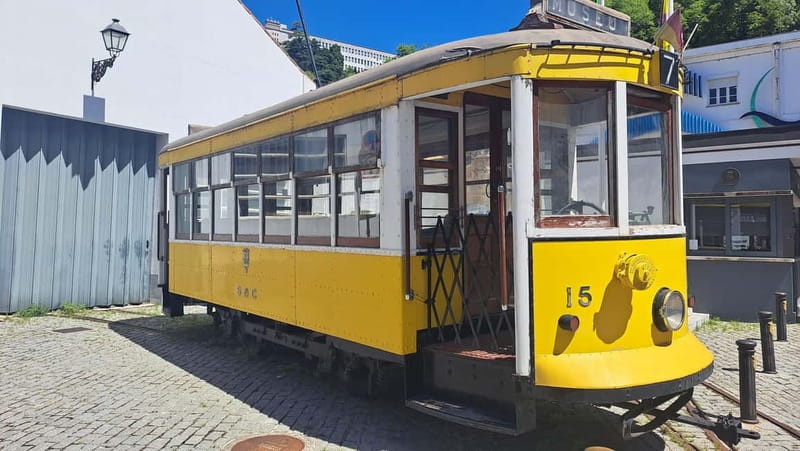 Coimbra: Adventure, Discovery & Learning with a Local - Visit to the Coimbra Botanical Garden