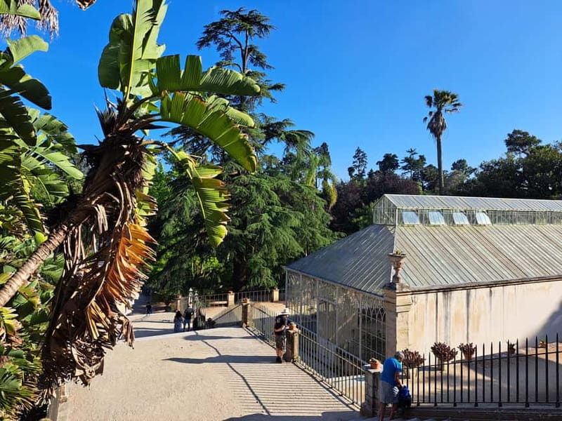 Coimbra: Adventure, Discovery & Learning with a Local - Logistics and Group Experience