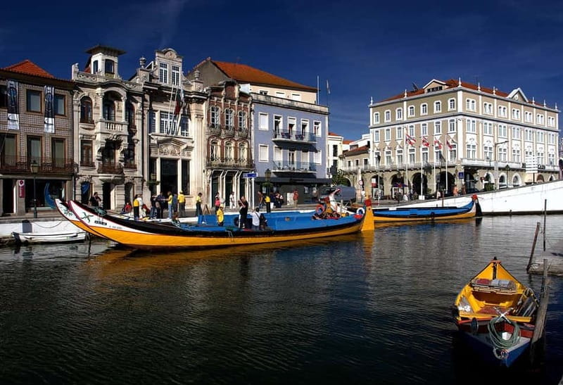 Coimbra & Aveiro Experience: From Porto All-Included - Overall Value and Suitability