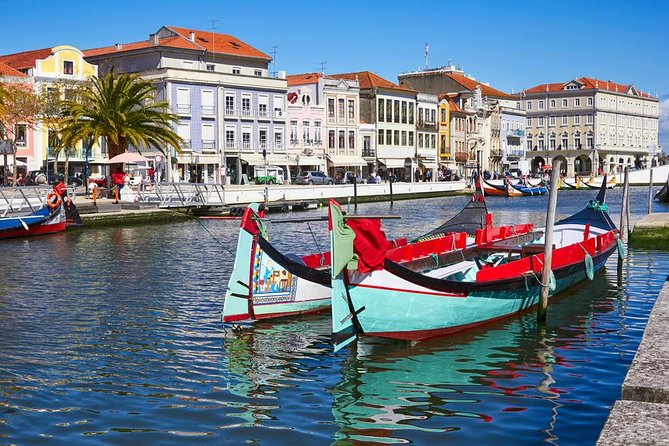 Coimbra & Aveiro Full Day Private Tour from Porto - Visiting Costa Nova’s Painted Huts