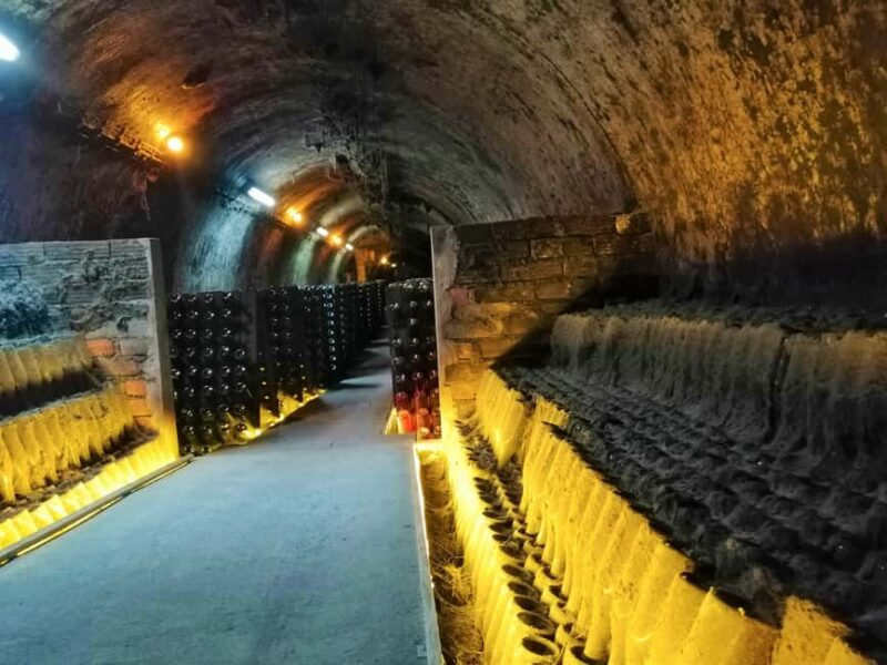 Coimbra: Bairrada Food Tour - Key Points