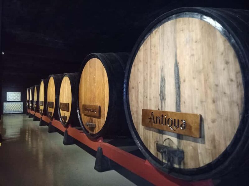 Coimbra: Bairrada Food Tour - Starting Point: The Meeting Location at Av. Emídio Navarro 21