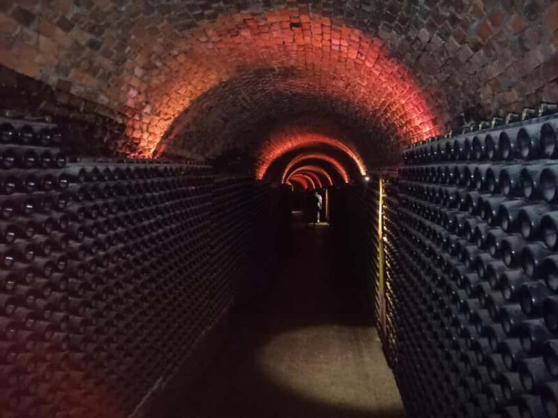 Coimbra: Bairrada Food Tour - Savoring Bairrada’s Signature Roast Suckling Pig