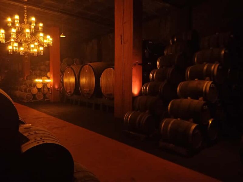 Coimbra: Bairrada Food Tour - Additional Tour Options and Flexibility