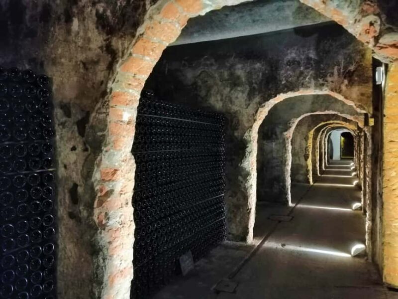 Coimbra: Bairrada Food Tour - Practical Details: Group Size and Language