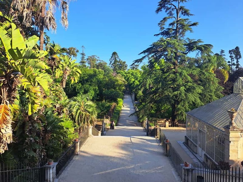 Coimbra Botanical Garden Tour: Storytelling Through Nature - Starting Point at the Monumental Stairs of Coimbra University