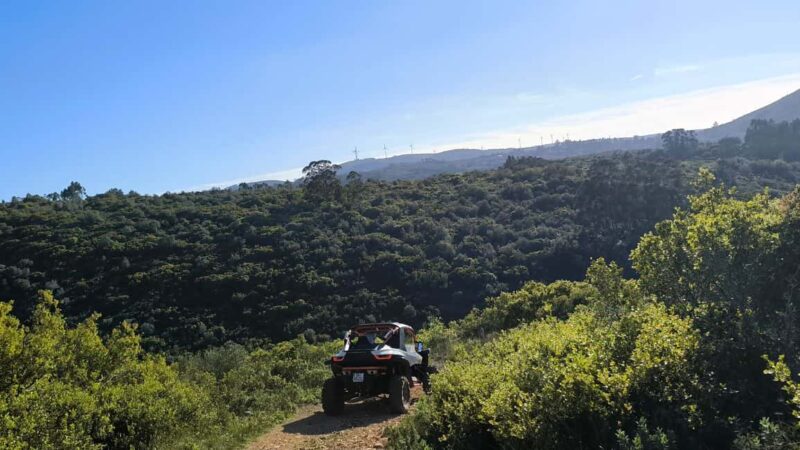 Coimbra - Condeixa: 60-minute Off-road Buggy Adventure - Winding Trails and Off-road Driving Thrills