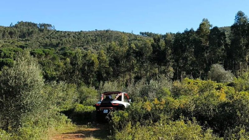 Coimbra - Condeixa: 60-minute Off-road Buggy Adventure - Safety, Guides, and Group Dynamics
