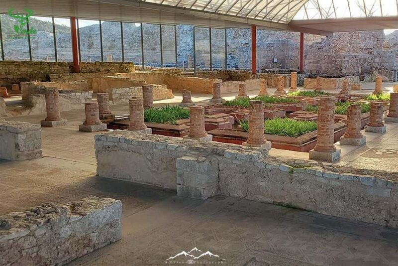 Coimbra: Conimbriga Ruins and Roman Heritage Tour - Key Points