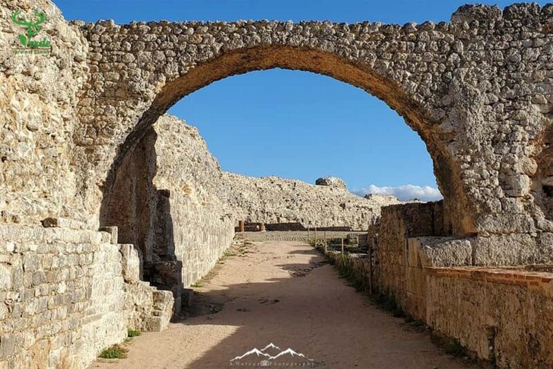 Coimbra: Conimbriga Ruins and Roman Heritage Tour - Discovering Conimbriga: Portugal’s Best-Preserved Roman City