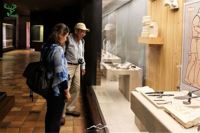 Coimbra: Conimbriga Ruins and Roman Heritage Tour - Logistics and Meeting Point Details