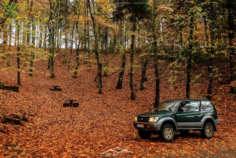 Coimbra: Lousã Mountain 4x4 Tour with Deer Watching - Key Points