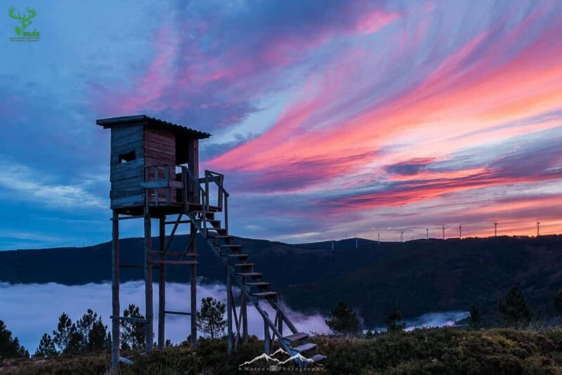 Coimbra: Lousã Mountain 4x4 Tour with Deer Watching - Wildlife Watching: Deer, Wild Boars, and Squirrels