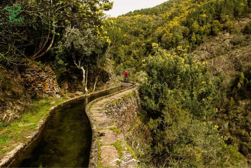Coimbra: Lousã Mountain 4x4 Tour with Deer Watching - Exploring the Forests of Lousã