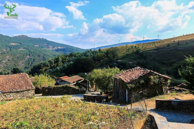 Coimbra: Lousã Mountain 4x4 Tour with Deer Watching - Scenic Views and Photo Opportunities at Trevim Swing and Gondramaz