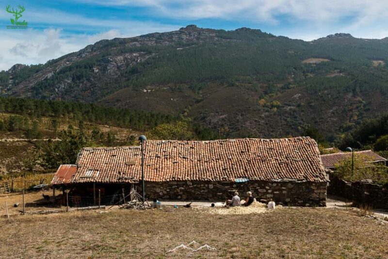 Coimbra: Lousã Mountain Schist Villages Tour - Key Points