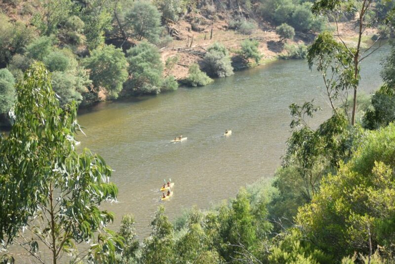 Coimbra: Mondego River Kayaking Tour - Who Will Appreciate This Tour?
