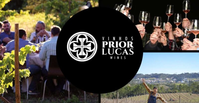 Coimbra: Prior Lucas Wine Experience - Unique Wine Tasting in Coimbra’s Bairrada Region for $45