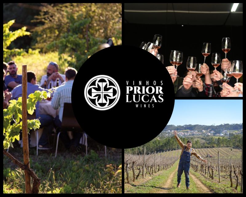 Coimbra: Prior Lucas Wine Experience - Tasting a Selection of Sparkling, Red, and White Wines