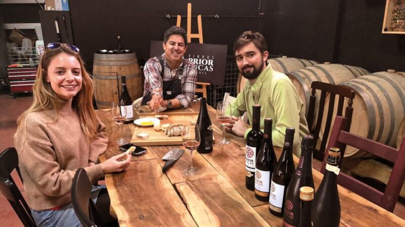 Coimbra: Prior Lucas Wine Experience - Accessibility and Group Size Options