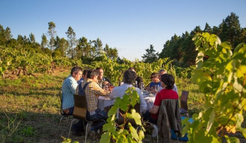 Coimbra: Prior Lucas Wine Experience - Final Thoughts on the Prior Lucas Wine Experience