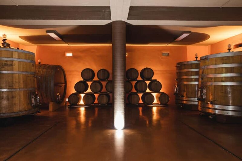 Col di Lamo Organic Boutique Classic Tour - The Guided Tour of the Winery and Production Philosophy