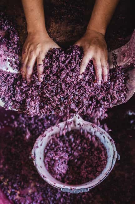 Col di Lamo Organic Boutique Vertical Experience - Inside the Cellar: Barriques and Oak Barrels