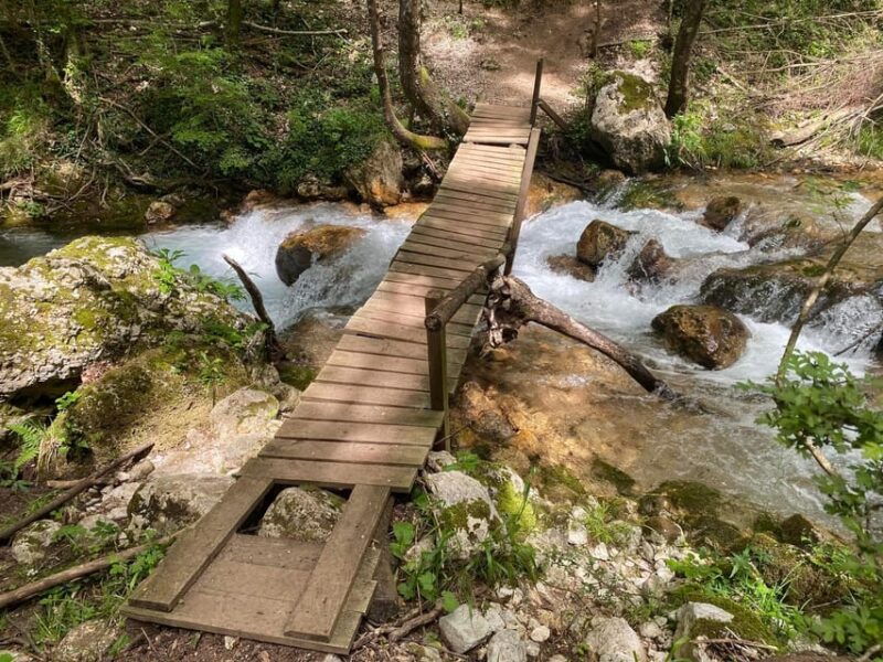 Collepardo: Trisulti Charterhouse and Hermitage Guided Hike - Key Points