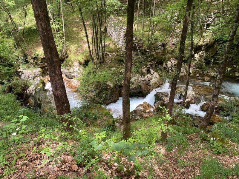 Collepardo: Trisulti Charterhouse and Hermitage Guided Hike - Discovering the Trisulti Charterhouse’s Rich Heritage