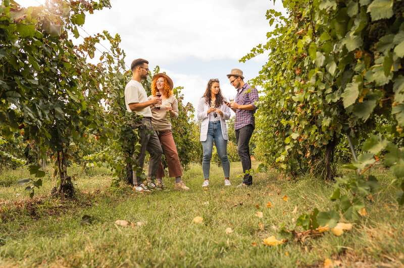 Collingwood: Blue Mountains Wine and Cider Tasting Tour - Transportation and Comfort During the Day