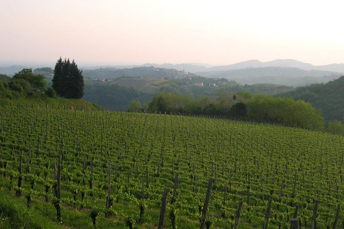 Collio: Cividale Del Friuli and Wine Tastings from Trieste - Logistics: Smooth Transfers and Group Arrangement
