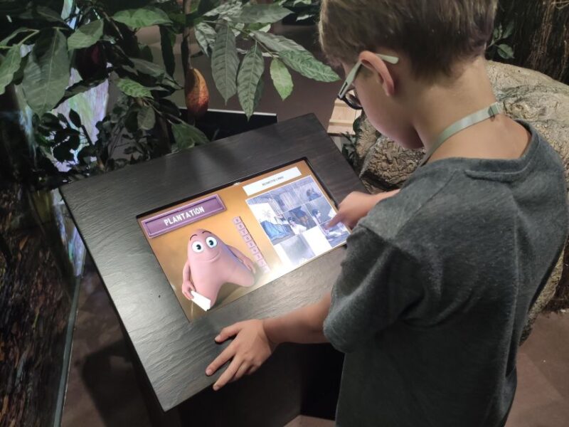 Colmar : 45-minute Chocolate Making Workshop at Choco-Story - Exploring the Museums Exhibits: A Sweet Journey Through Time