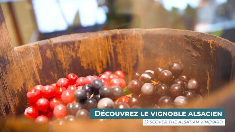 Colmar: Alsace Wine Museum Entrance Ticket - Comparing Similar Experiences in the Region