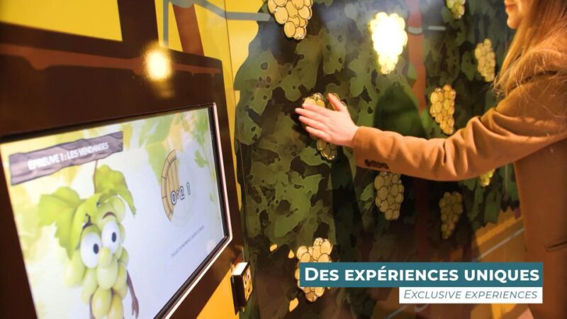 Colmar: Alsace Wine Museum Entrance Ticket - Final Thoughts on the Alsace Wine Museum Tour