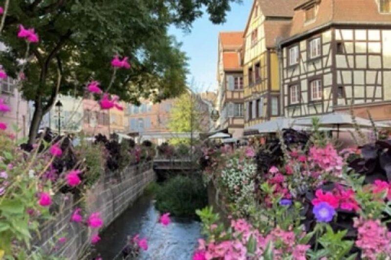 Colmar: guided tour with a local guide to discover the secrets of the city - Exploring the Old Customs House and Covered Market