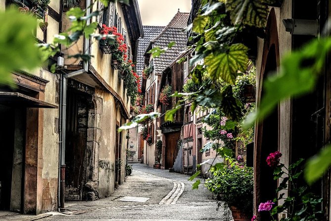 Colmar: Private guided walking tour of the Historical Center - Limitations and Considerations