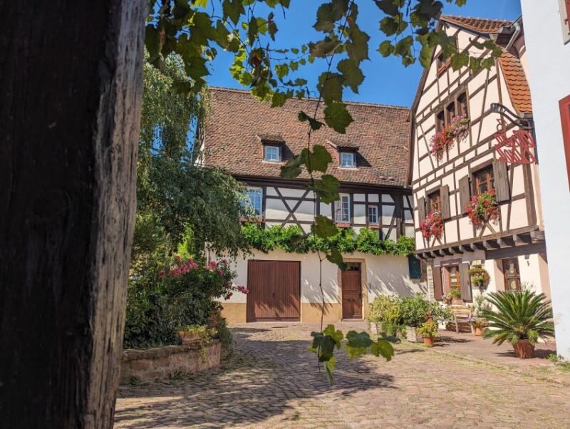 Colmar: Unusual Walking Tour with a local guide - Discovering the Secrets of Colmar’s Southern District