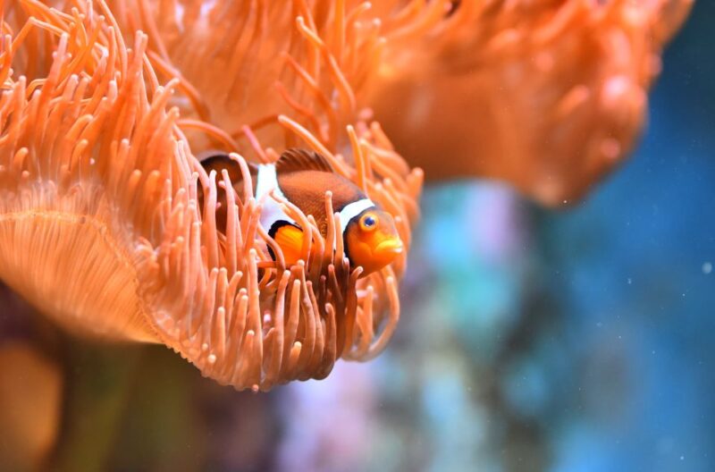 Cologne: Cologne Zoo and Aquarium Entry Ticket - Practical Tips and Accessibility