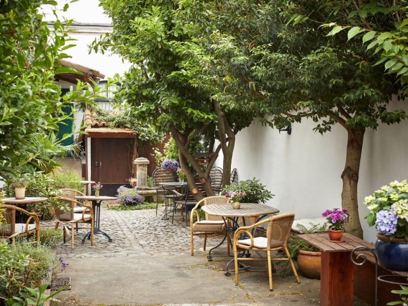 Cologne-Nippes: Summer wine party in the frenchstyle garden - The French-Style Setting in Cologne-Nippes