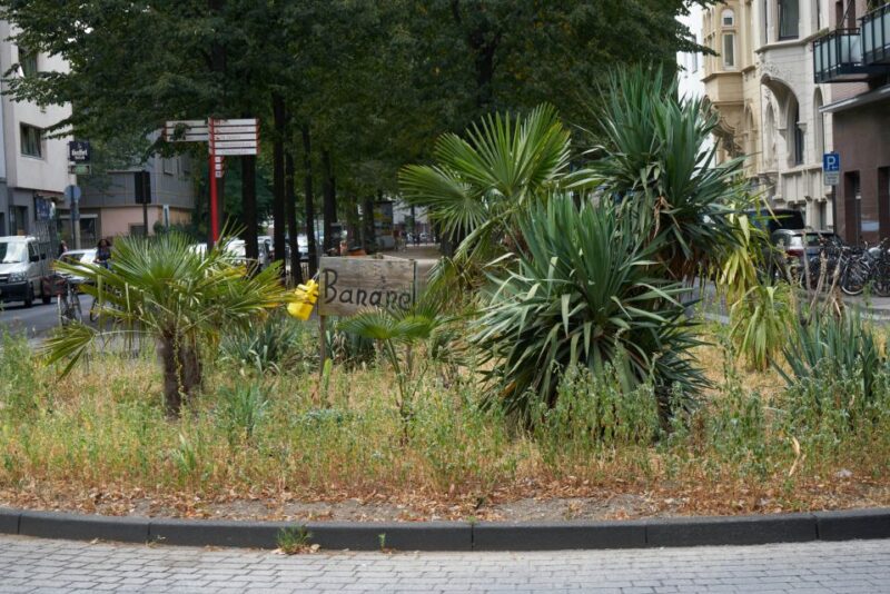 Cologne: Südstadt Guided Foodie Walking Tour - The Charm of Südstadt’s Streets and Boutiques