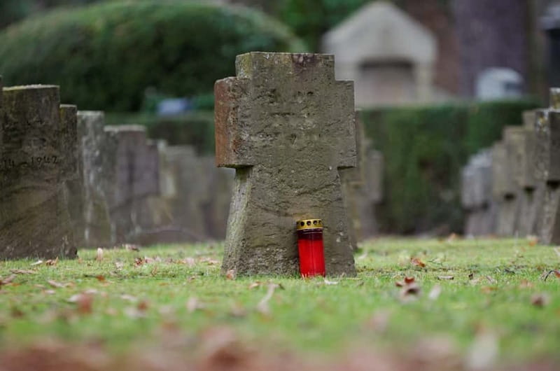 Cologne: WWII Sites with Optional EL-DE Haus Private Tour - Practical Details: Meeting Point, Accessibility, and Pacing