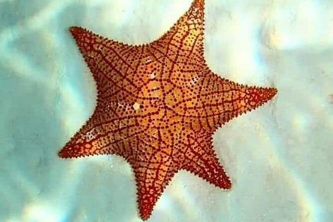 Colombia, Palancar & Cielo Cozumel Snorkel Tour - Final Thoughts on the Cozumel Snorkel Tour with Palancar & Cielo