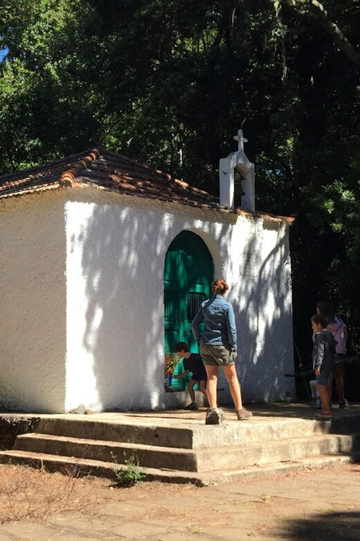 Colon Skies - Explore La Gomera’s UNESCO-Designated Biosphere Reserve