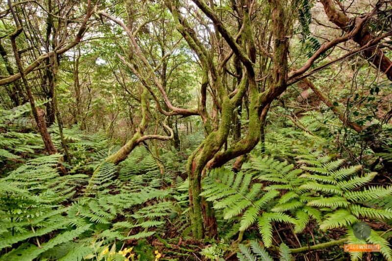 Colon Skies - Practicalities: Tour Logistics and Group Size