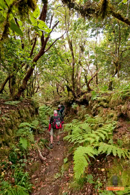 Colon Skies - Is This Tour Right for You?
